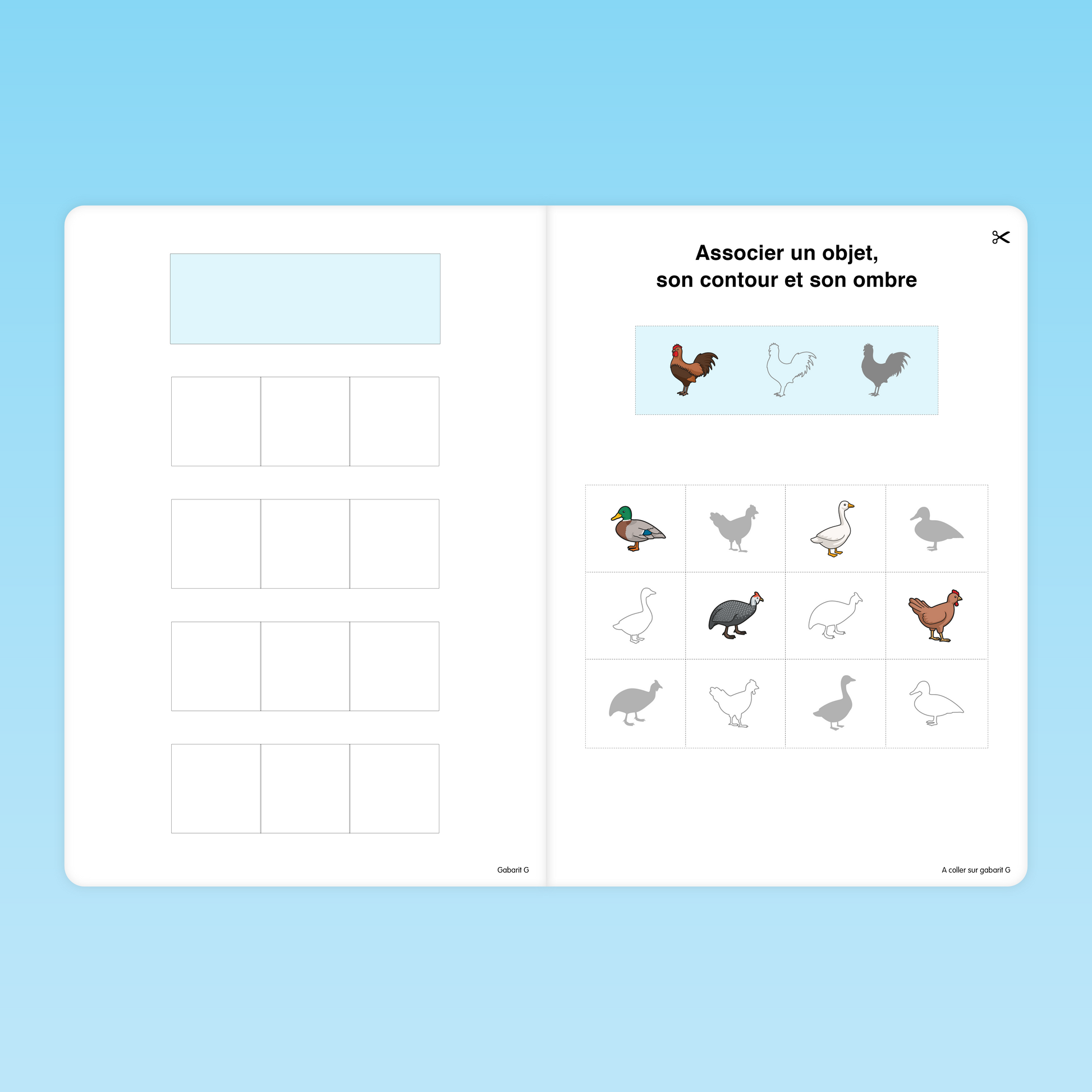 Fiche MS pour associer volaille, contour et ombre dans un exercice de discrimination