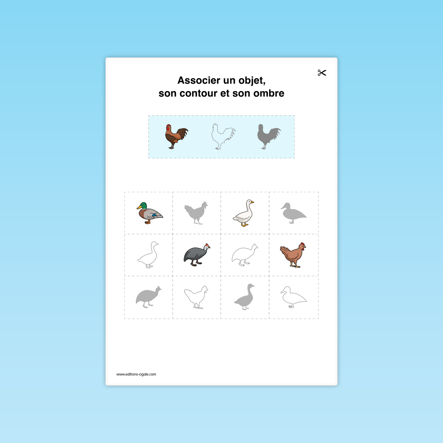 Fiche MS : poule, canard, oie, pintade, repérage des contours et silhouettes
