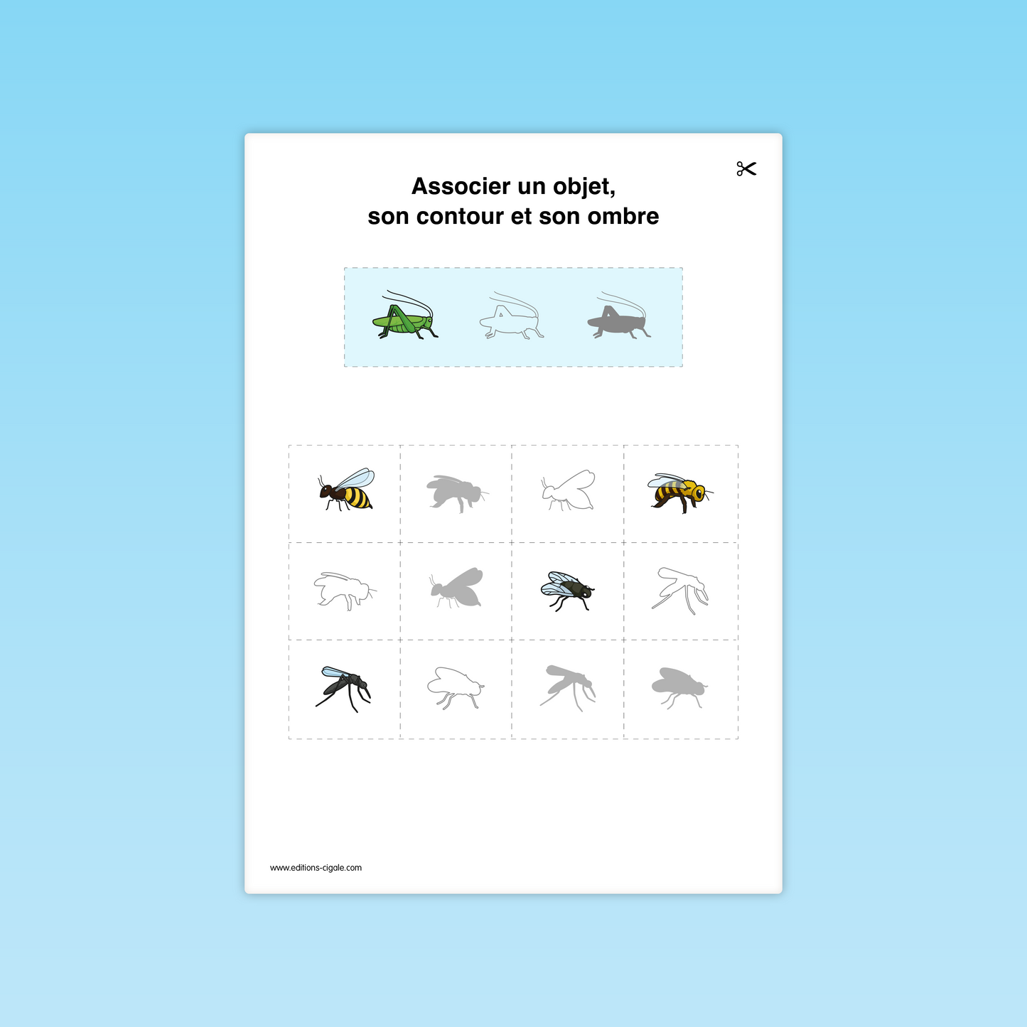Fiche MS : mouche, abeille, moustique, sauterelle, ombre et contour à retrouver