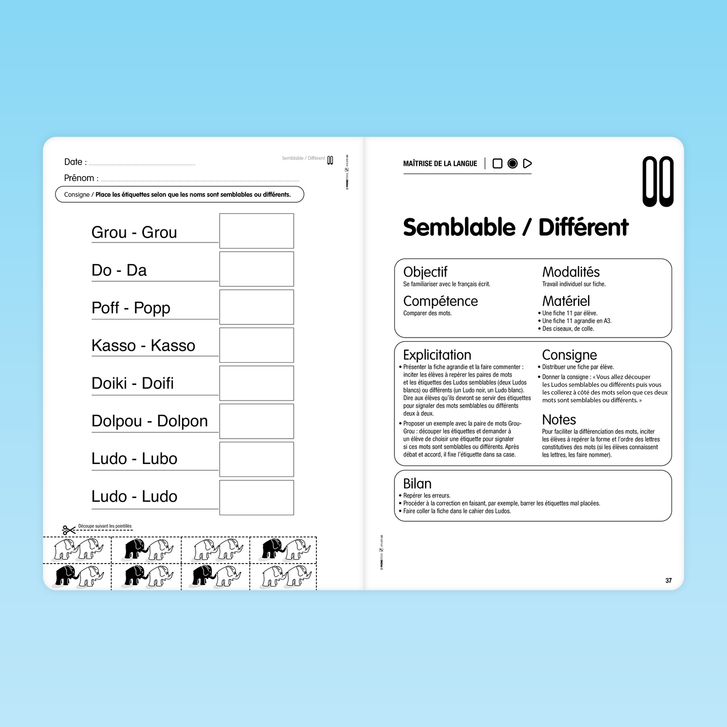 exercide de comparaison de mots semblables ou differents
