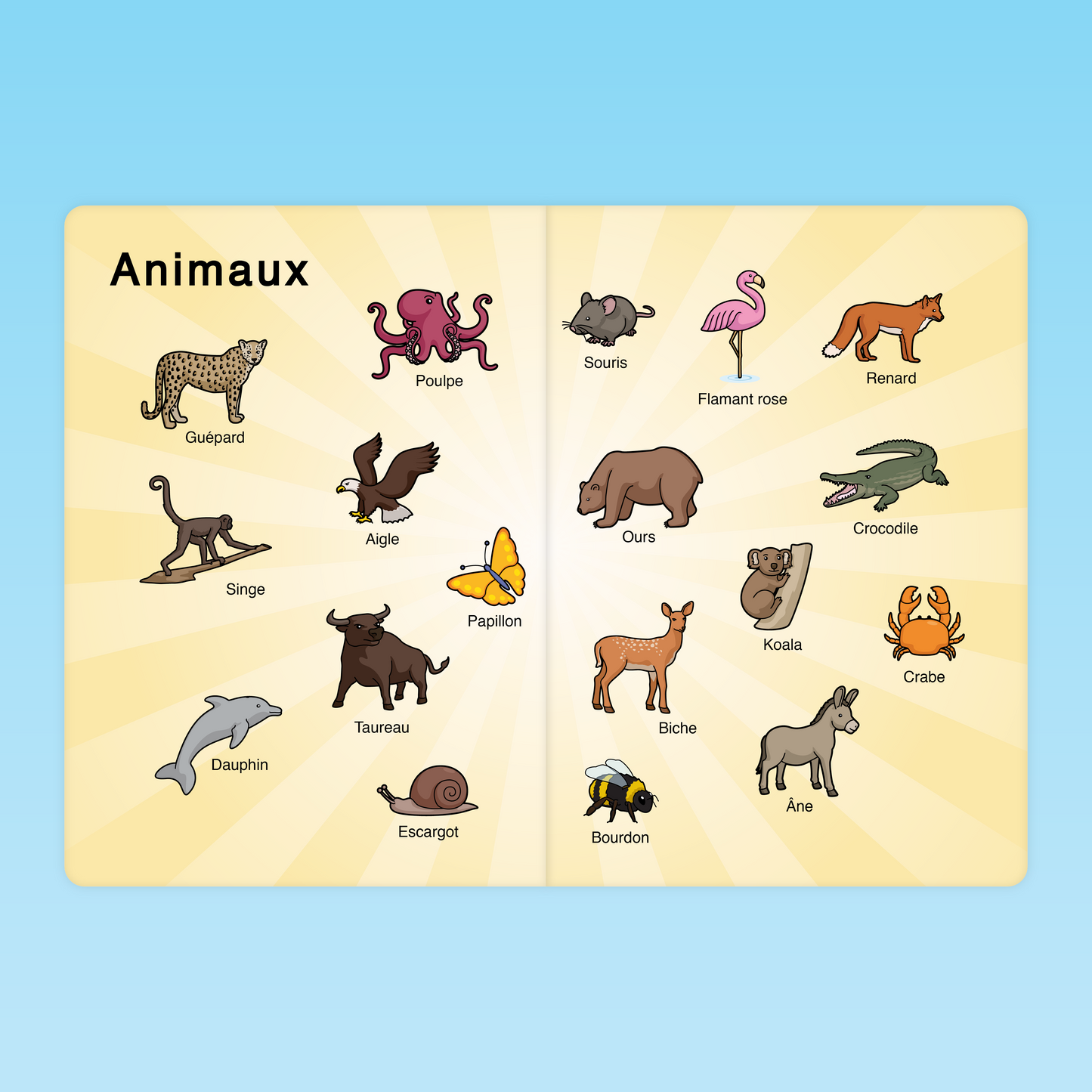 imagier vocabulaire des animaux en maternelle MS avec mammifères, oiseaux, insectes et animaux marins