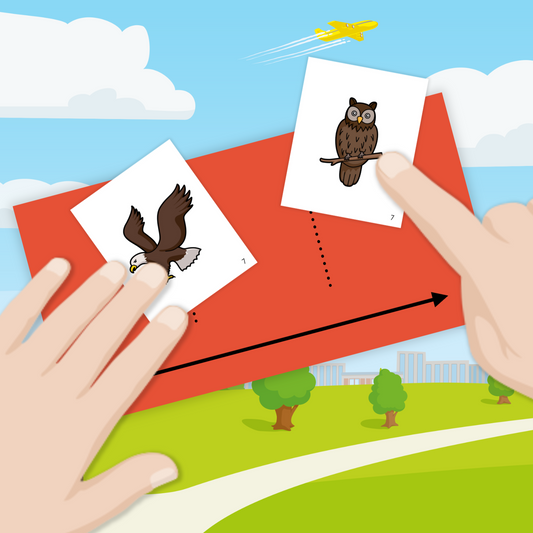 Le projet d’école : un cadre structurant pour travailler la phonologie