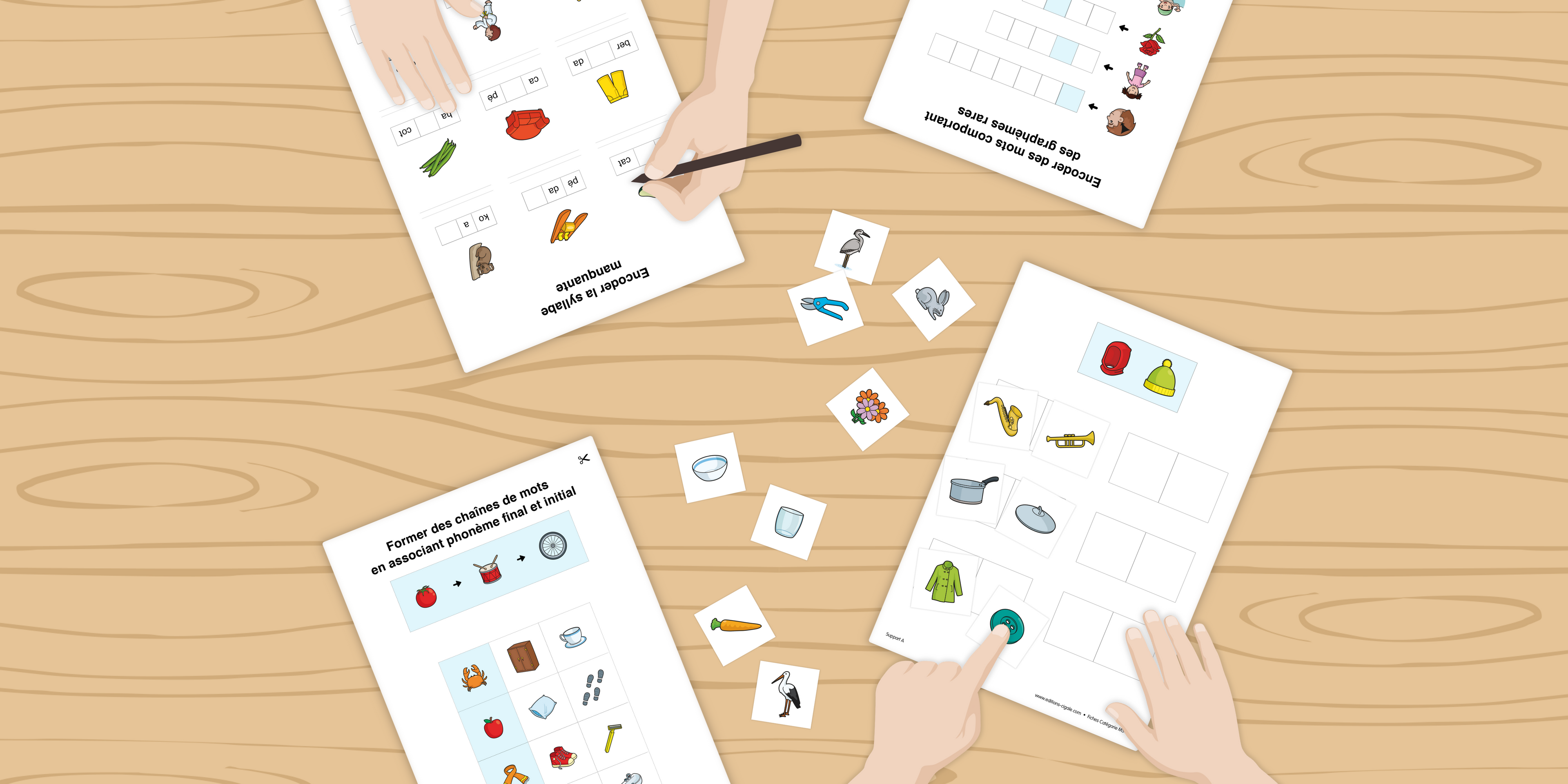 Fiches individuelles