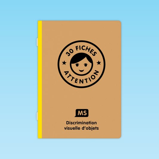 30 fiches Discrimination visuelle d'objets MS