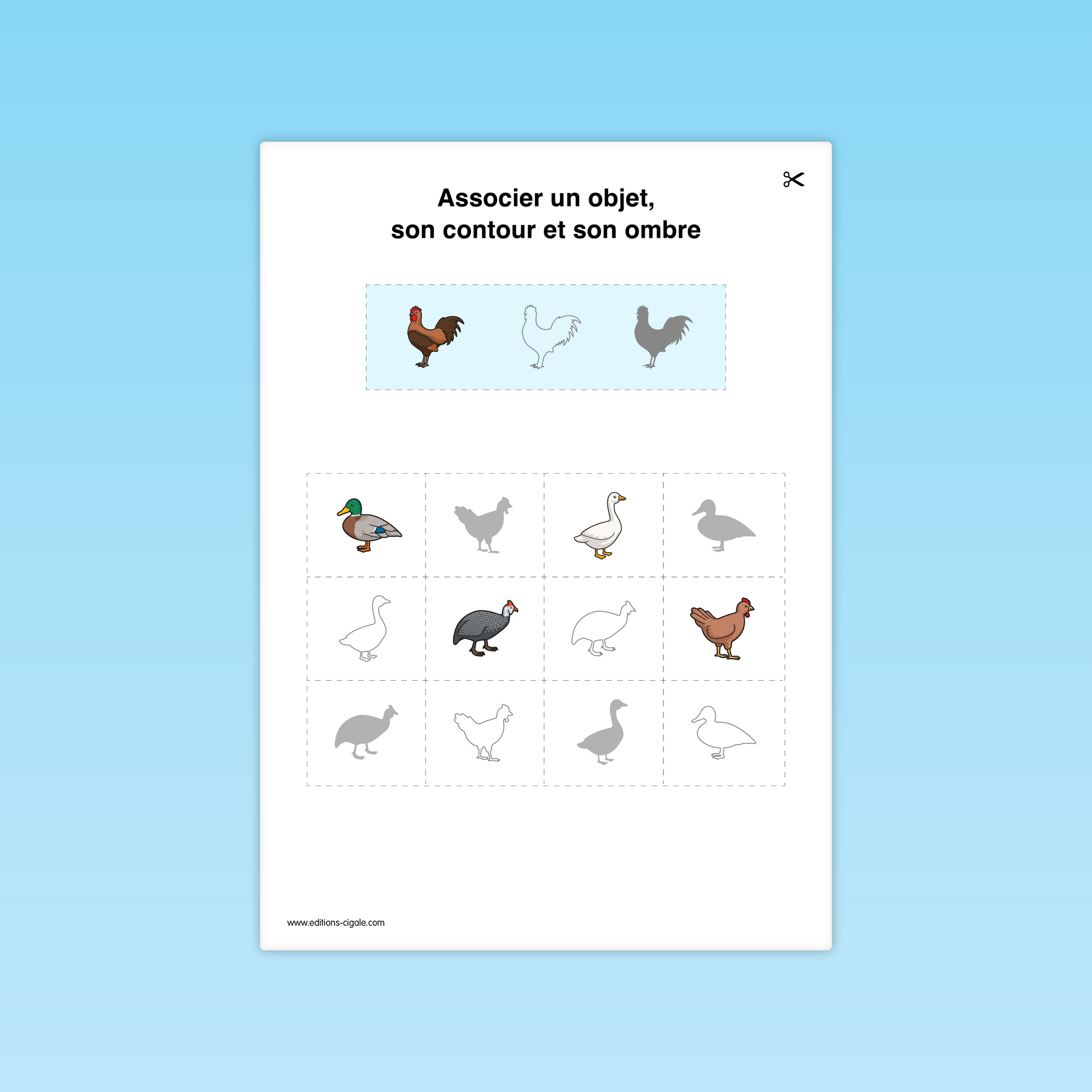 Fiche MS : poule, canard, oie, pintade, repérage des contours et silhouettes