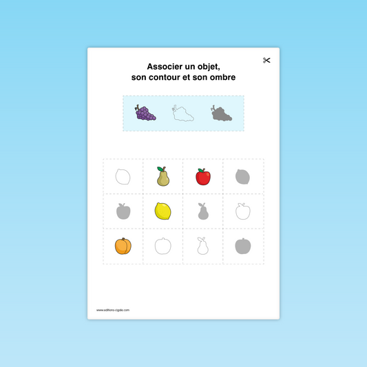Fiche MS d’attention visuelle : pomme, poire, citron, raisin, ombre et contour à identifier