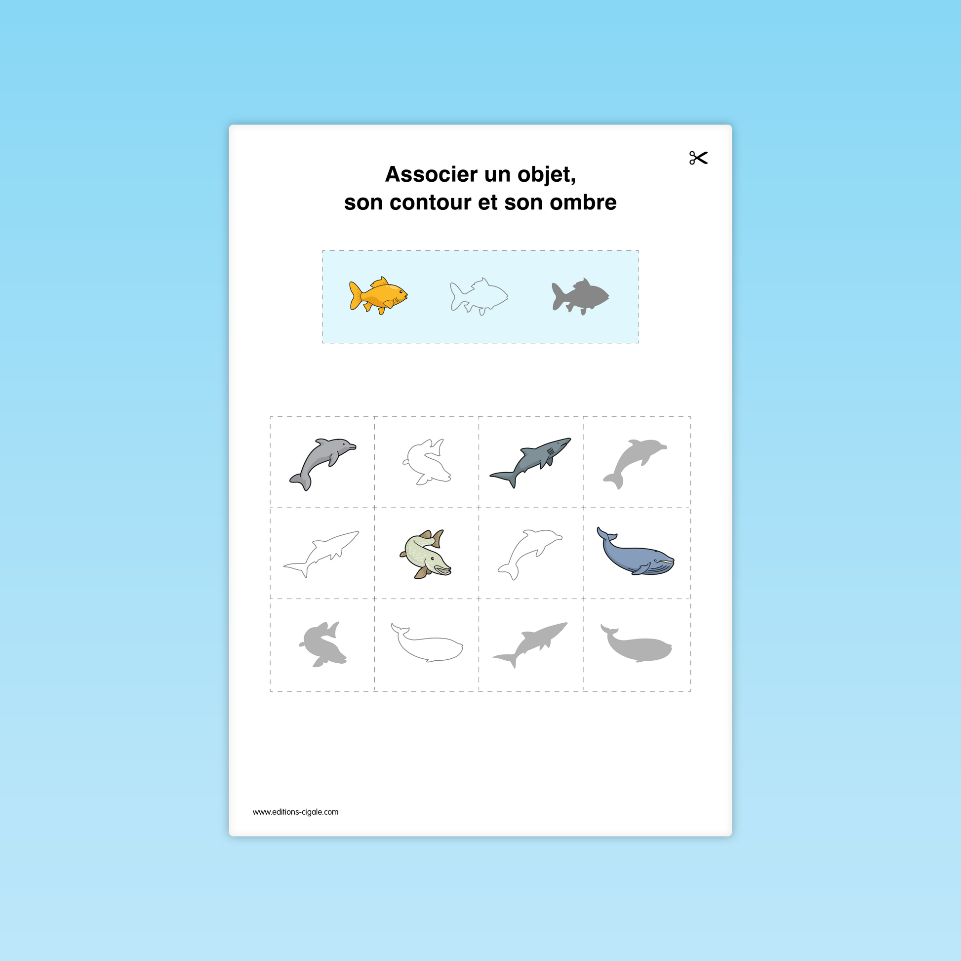 Fiche MS d’attention visuelle : dauphin, brochet, requin, baleine, ombre et contour à identifier