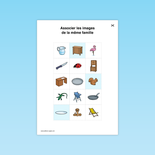 Fiche vocabulaire GS : trier des images selon leur famille sémantique (meubles, animaux, ustensiles).