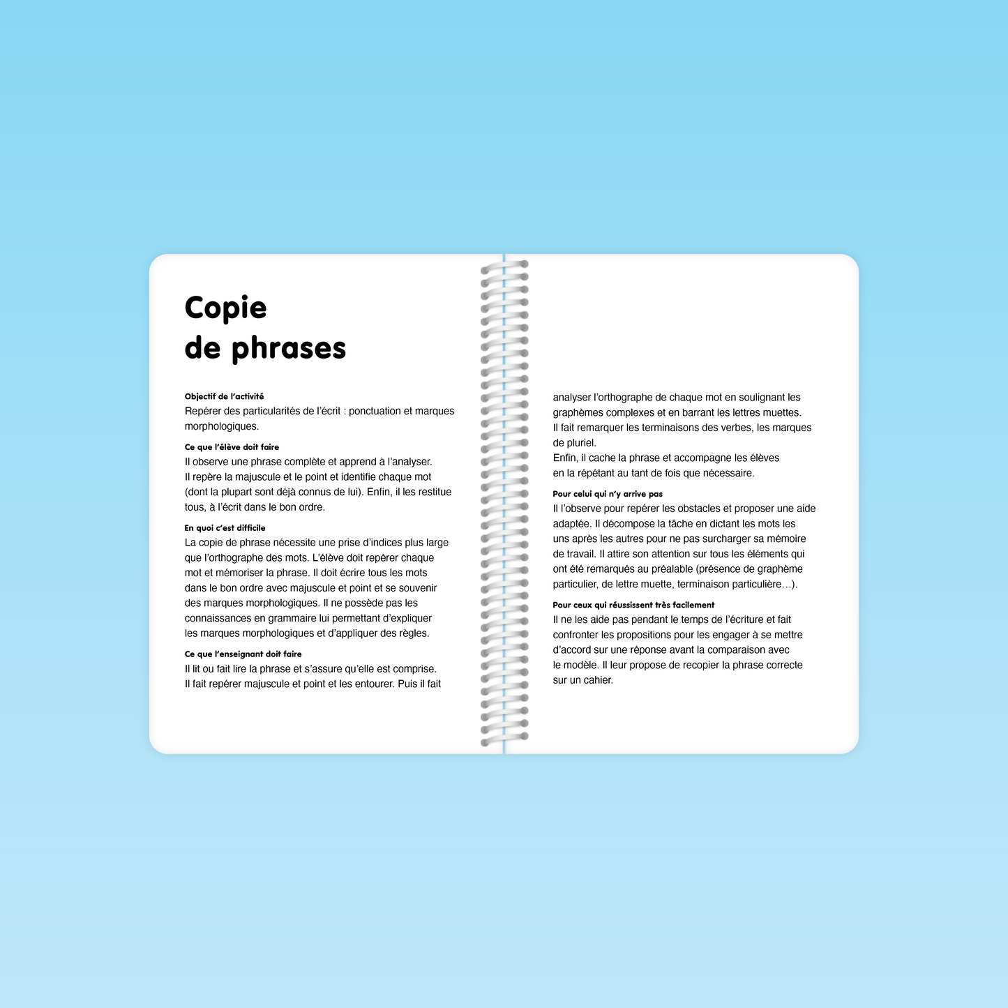 double page consignes activité « copie de phrases » repérage ponctuation et marques morphologiques dans le guide Décodage CP CE