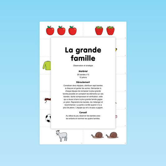 Couverture du jeu de langage La grande famille (GS) des Éditions La Cigale, pour travailler la catégorisation et le vocabulaire.