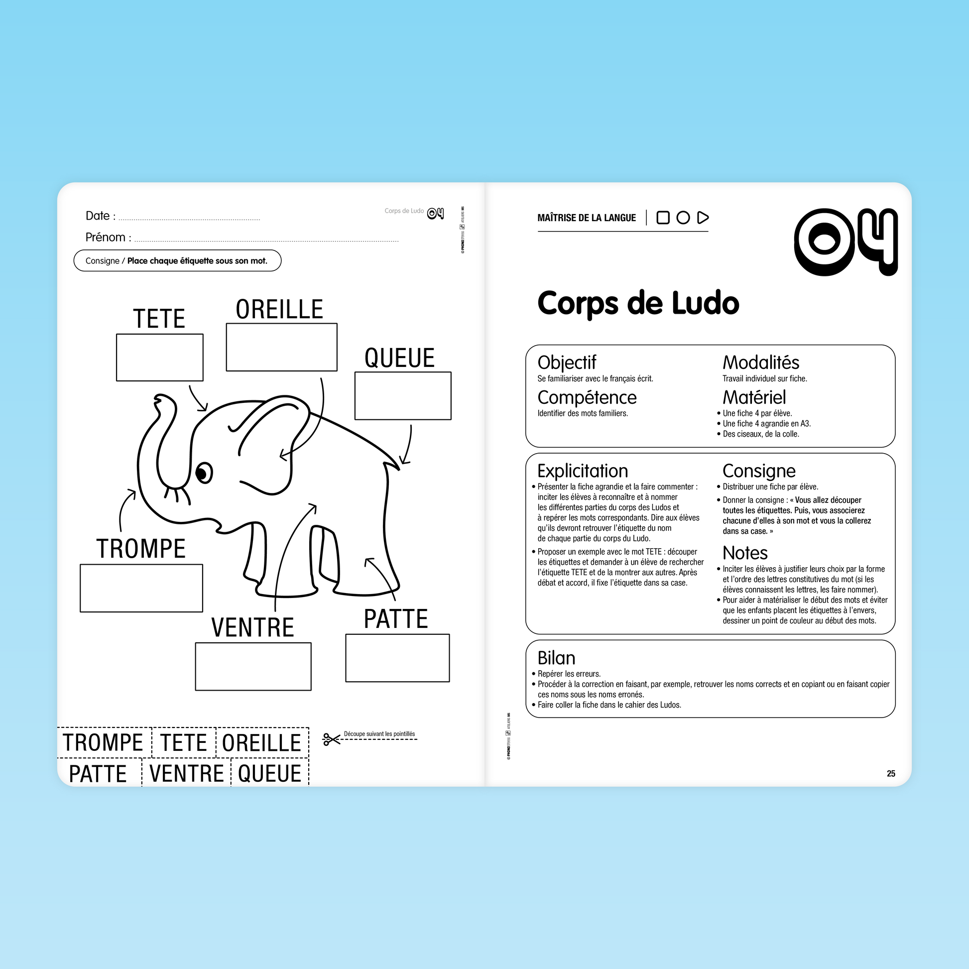 fiche d'activité sur le corps de l'éléphant Ludo pour identifier les mots familiers MS