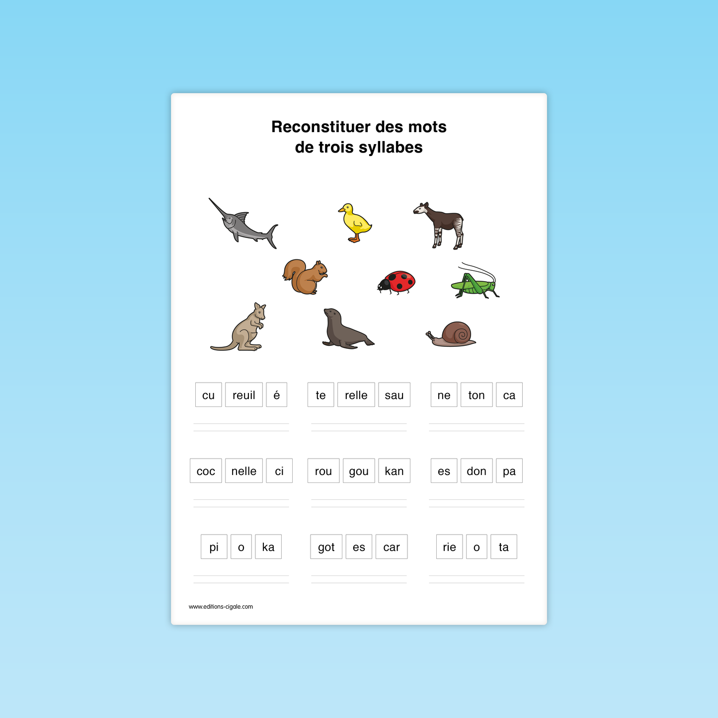 Reconstituer des mots composés de graphèmes complexes