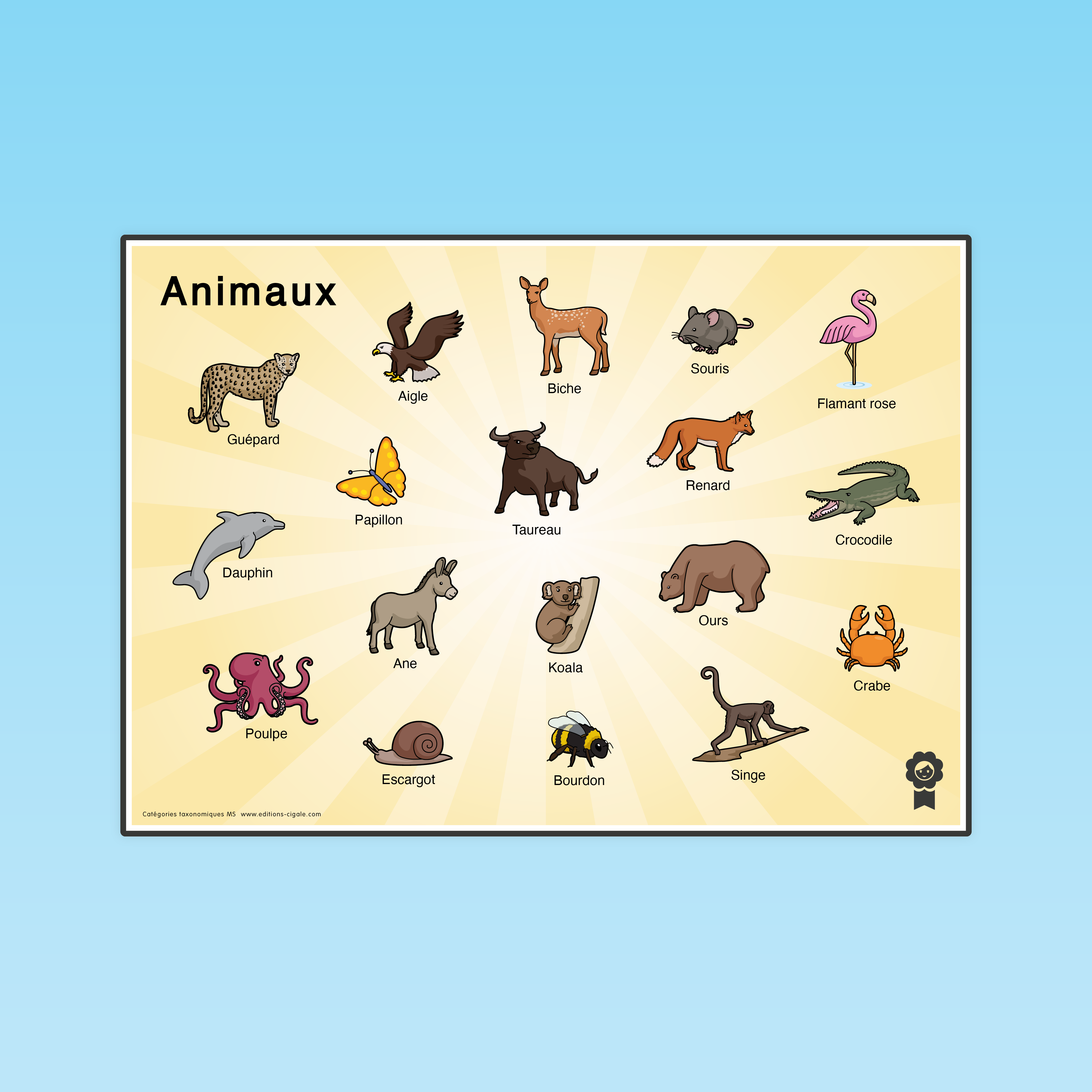 Catégories taxonomiques