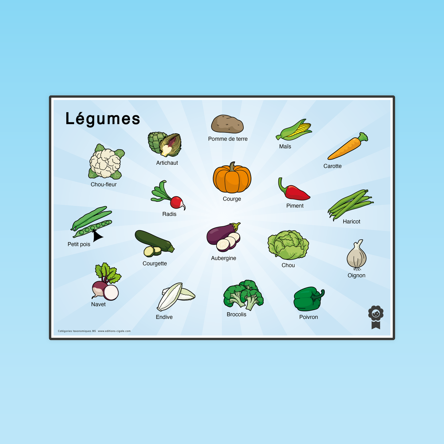 Catégories taxonomiques