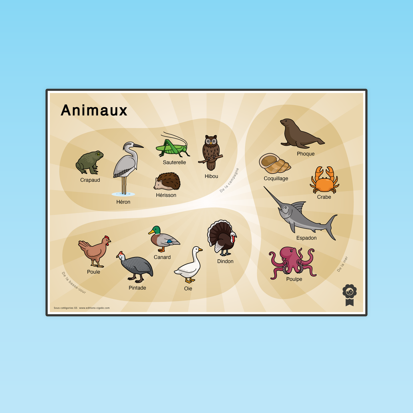 Sous catégories