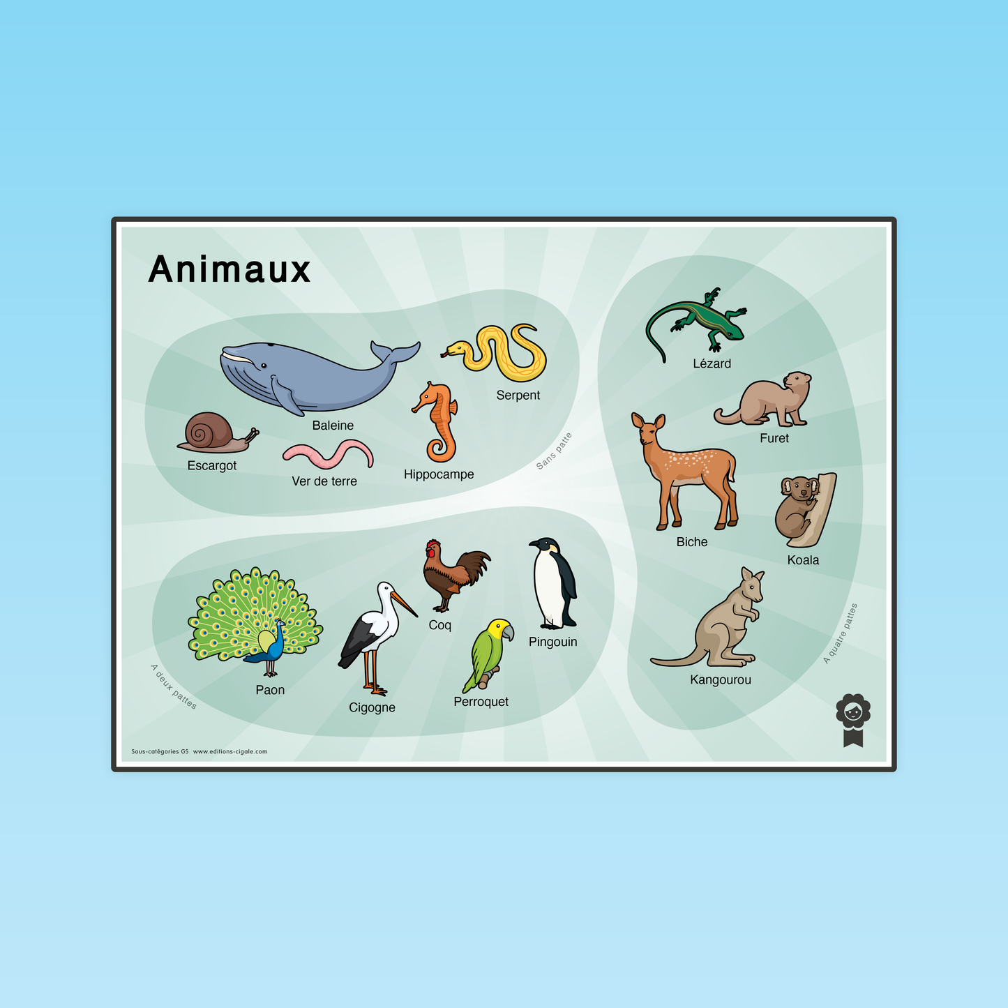 Sous catégories