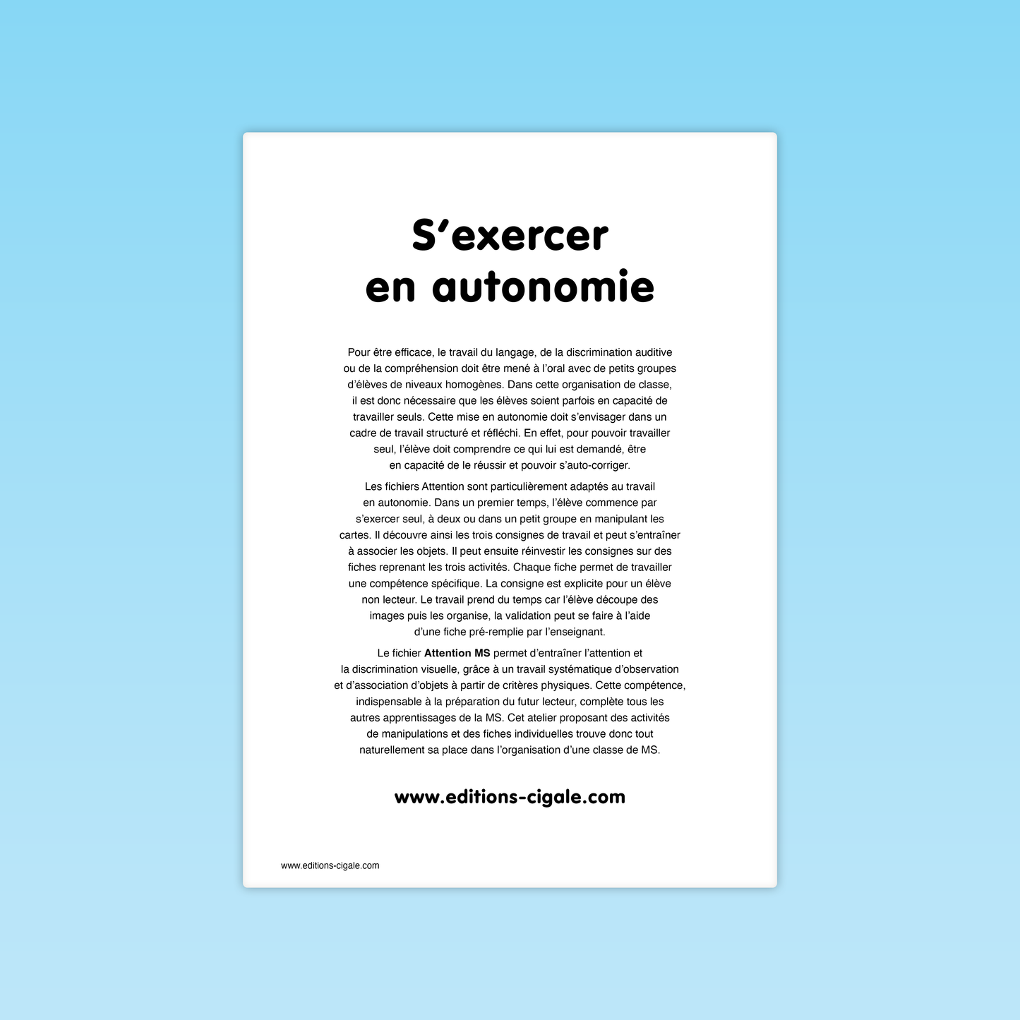 30 fiches Discrimination visuelle d'objets MS
